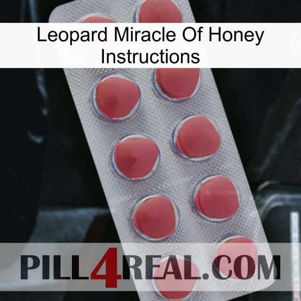 Leopard Miracle Of Honey Instructions 18.jpg